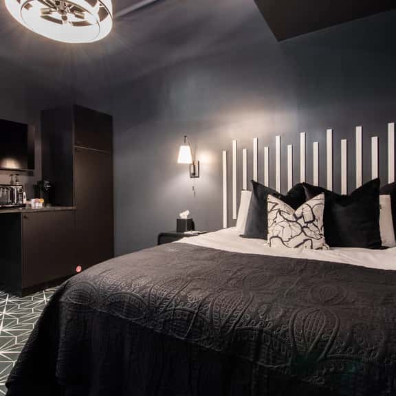 The Midnight Monochrome Suite - Image 1